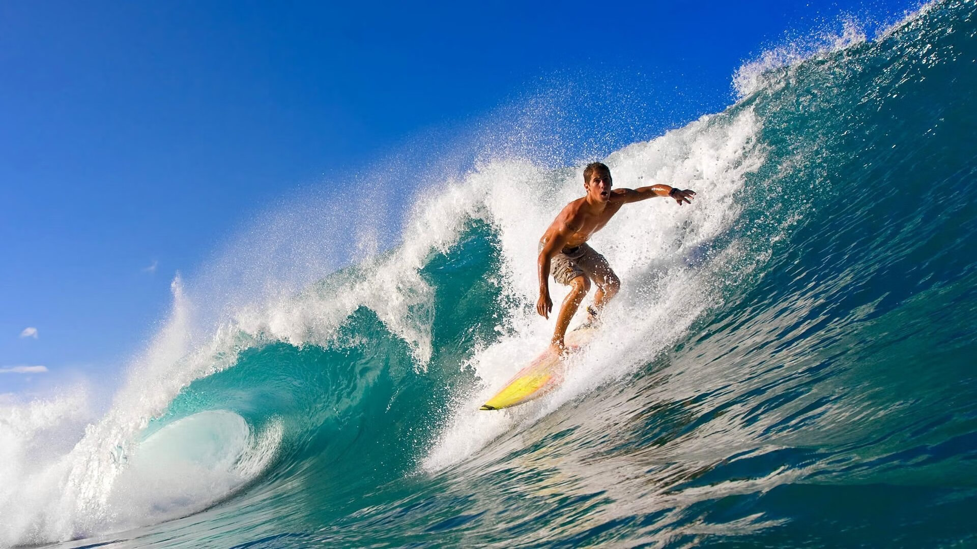 运动员的“多面人生”:明星球员跨界新动作,体育明星运动员